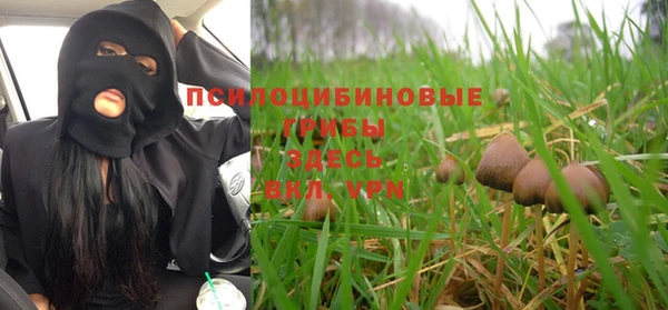 трава Ахтубинск