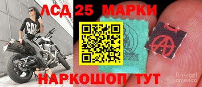Альфа ПВП Донецк